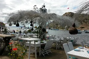 Aquarium Balık Restaurant image