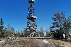 Luova Observation Tower image