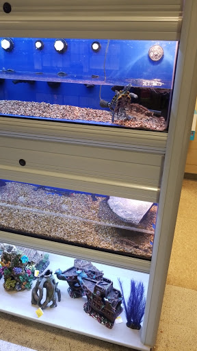 Pet Supply Store «PetSmart», reviews and photos, 1559 Merritt Blvd, Dundalk, MD 21222, USA