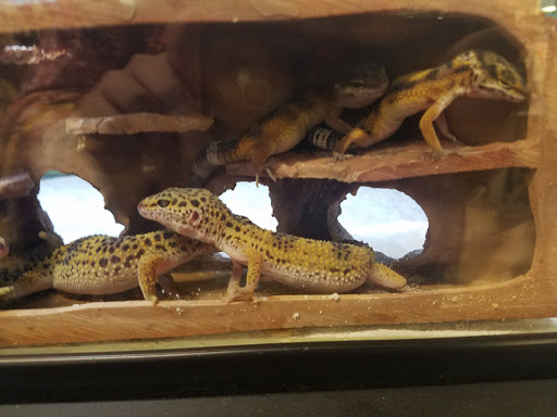 Pet Supply Store «Petco Animal Supplies», reviews and photos, 901 W Indiantown Rd #30, Jupiter, FL 33458, USA