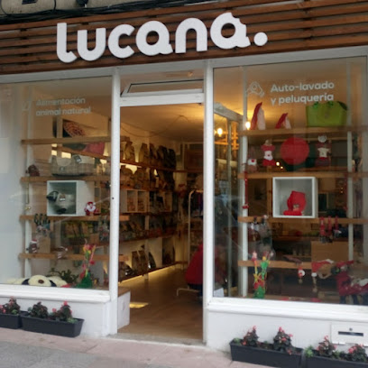 Lucana - Servicios para mascota en A Coruña
