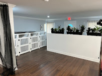 The Collar Club, LLC - Photo 7 - Car repair in Gulfport, MS, Gulfport