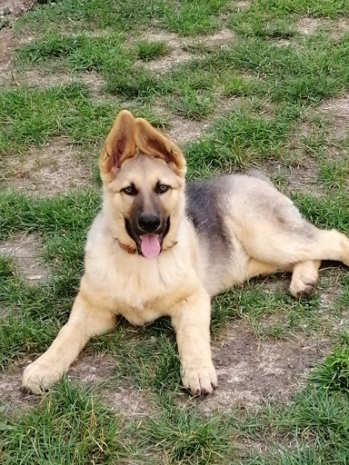 Clínica Veterinaria Portovet en Taboada