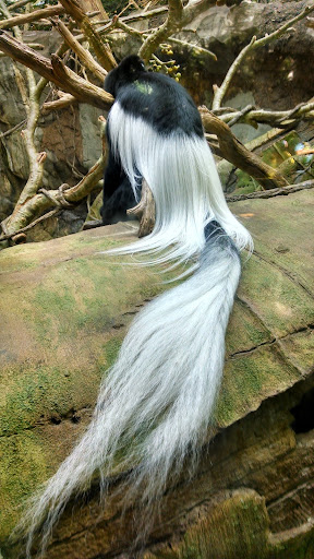 Gift Shop «Minnesota Zoo Gift Shop», reviews and photos, 13000 Zoo Blvd, Apple Valley, MN 55124, USA