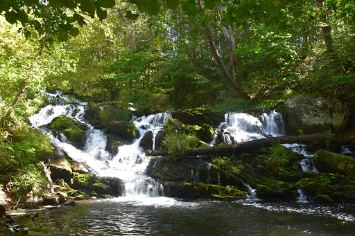 Historical Landmark «Montgomery Place Historic Estate», reviews and photos, 26 Gardener Way, Red Hook, NY 12571, USA