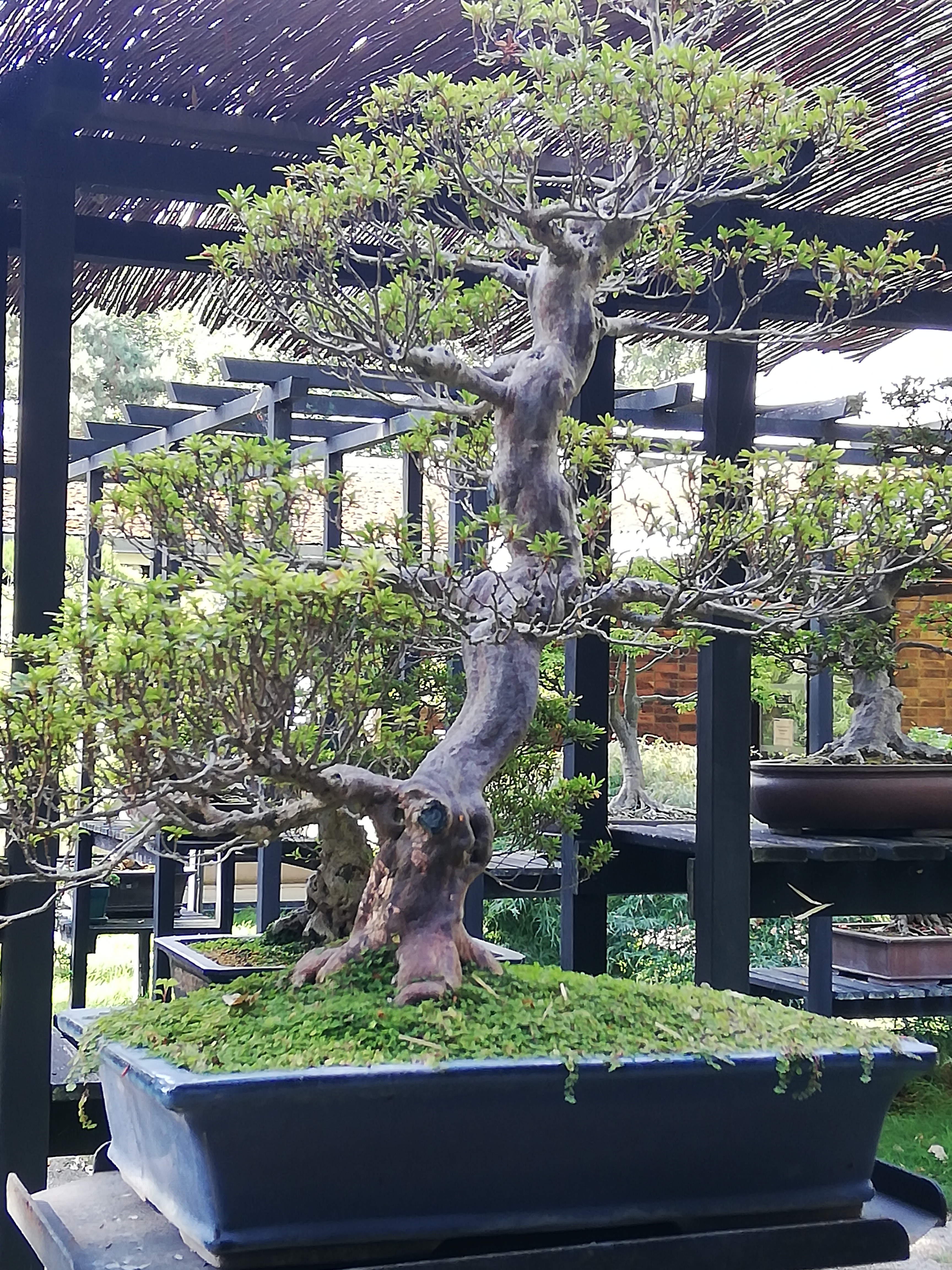 Photo n° 18 de l'avis de Samia.e fait le 16/08/2020 à 16:39