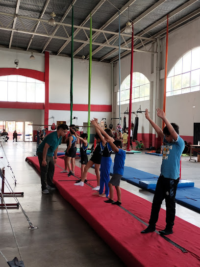 ESCUELA DE GIMNASIA ARTíSTICA DISCIPLINA E INTEGRACIóN