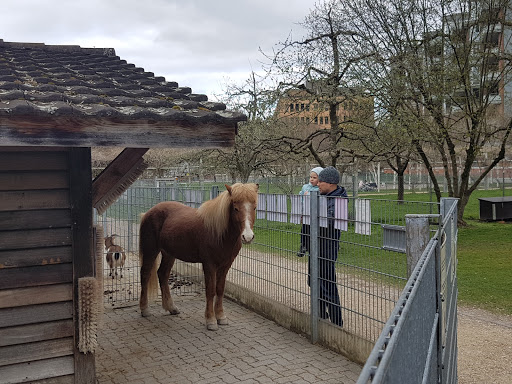 Spielplatz Bachwiesen