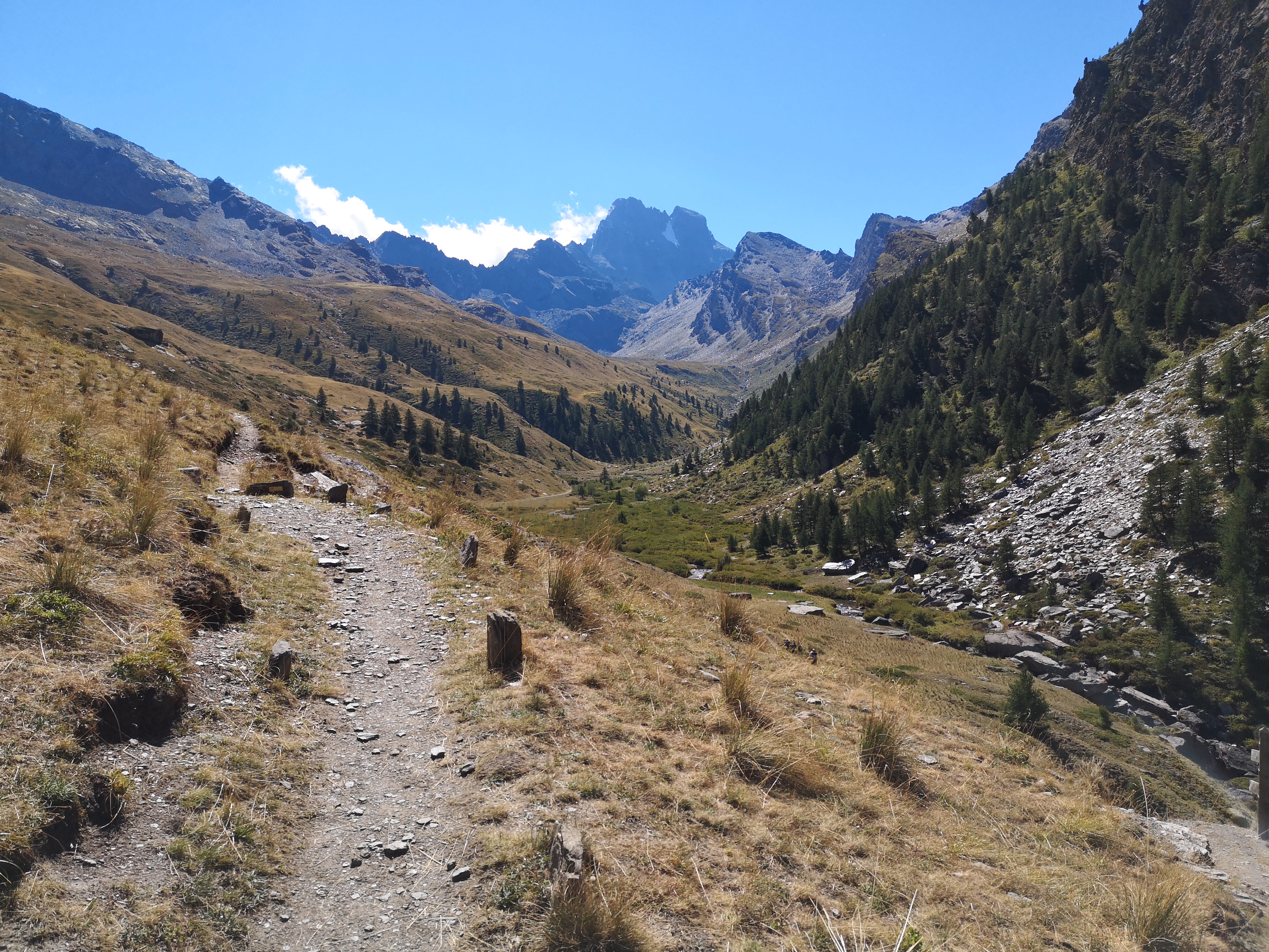 Photo n° 1 de l'avis de Franck.o fait le 16/08/2022 à 15:35