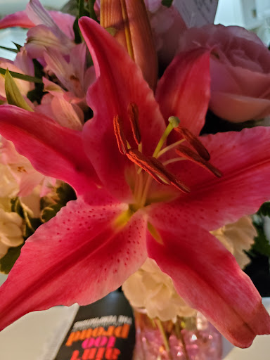 Florist «Domenic Graziano Flowers», reviews and photos, 60 James Way #3, Southampton, PA 18966, USA