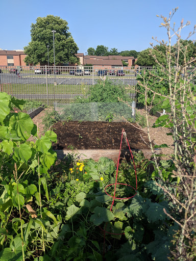 Hershey Community Gardens image 2