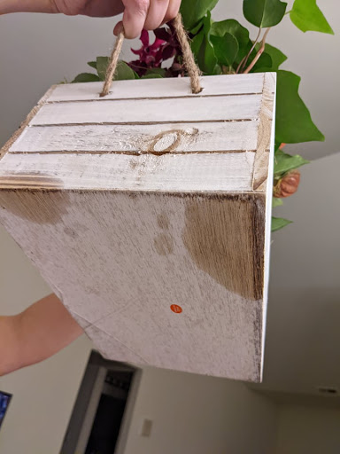 Florist «Viviano Flower Shop», reviews and photos, 32050 Harper Ave, St Clair Shores, MI 48082, USA