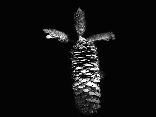 Golf Club «Architects Golf Club», reviews and photos, 700 Stryker Rd, Phillipsburg, NJ 08865, USA