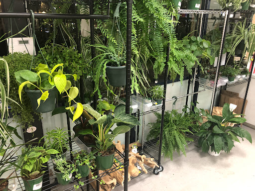 Pet Store «Pet Time», reviews and photos, 3141 W 11th Ave, Eugene, OR 97402, USA