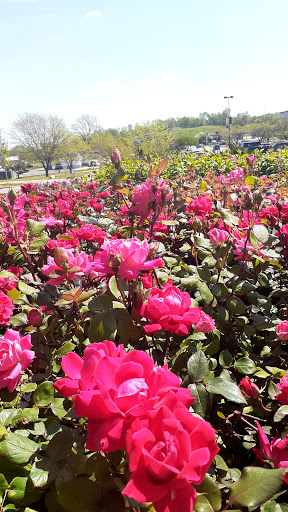 Home Improvement Store «The Home Depot», reviews and photos, 4900 SE 14th St, Des Moines, IA 50320, USA