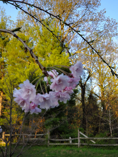 Park «Gough Park», reviews and photos, 9300 Honeygo Blvd, Perry Hall, MD 21128, USA