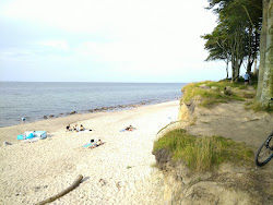 Photo de Heiligendamm Strand avec rivage droit, long