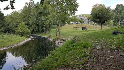 Vineyard «Torne Valley Vineyard», reviews and photos, 1 Torne Valley Rd, Hillburn, NY 10931, USA