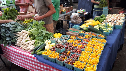 Dufferin Grove Organic Farmer's Market