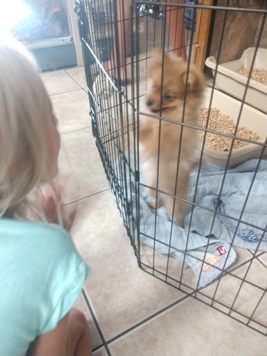 Pet Store «Animal Ark Pet Stores», reviews and photos, 33 Center St, Orem, UT 84057, USA