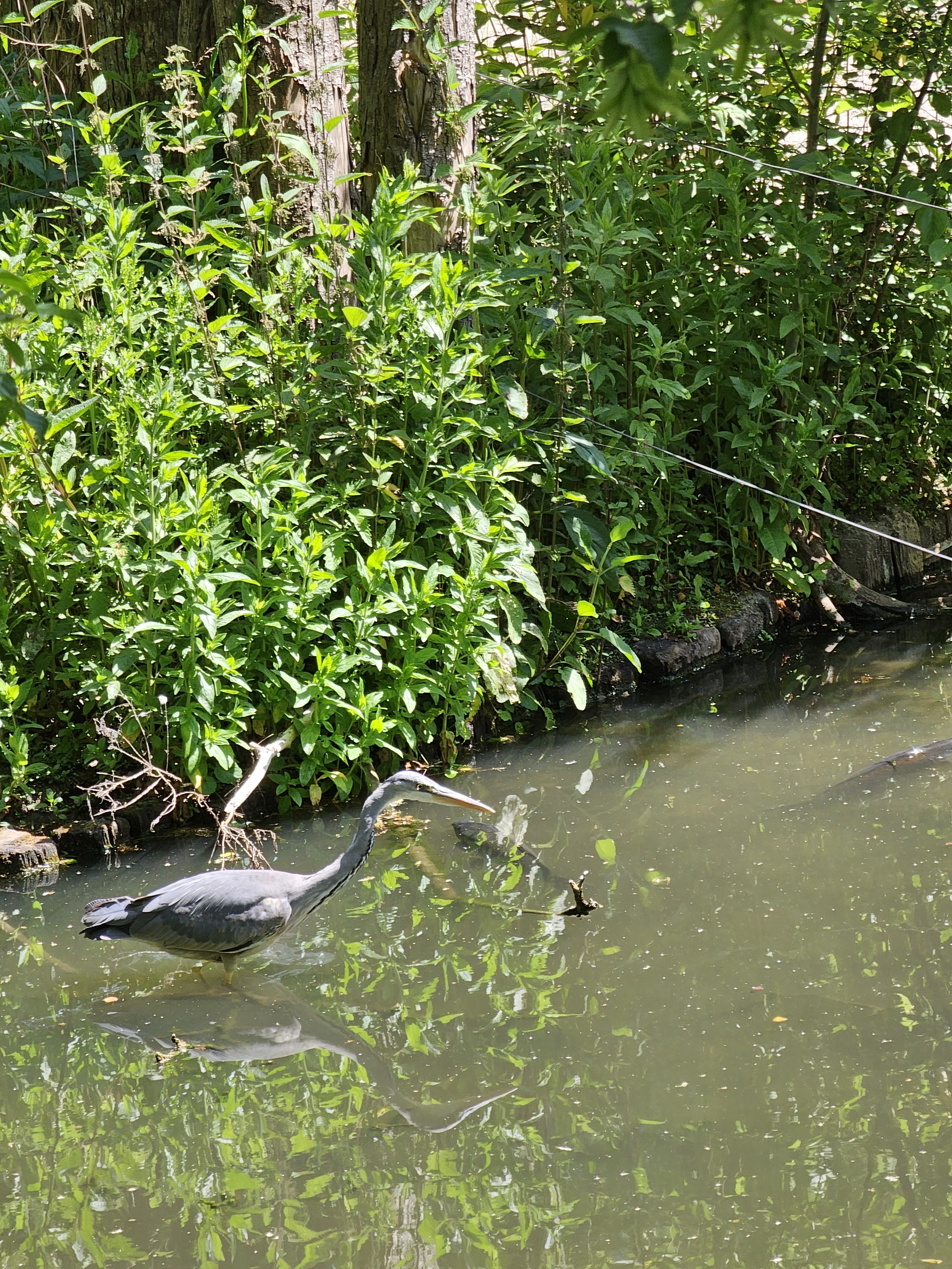 Photo n° 2 de l'avis de Envy.e fait le 03/06/2023 à 13:47