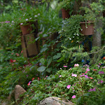 Photo n°1 de l'avis de Lucrezia.u fait le 28/08/2020 à 08:15 sur le  Su Meriacru | Cucina Identitaria à Siniscola