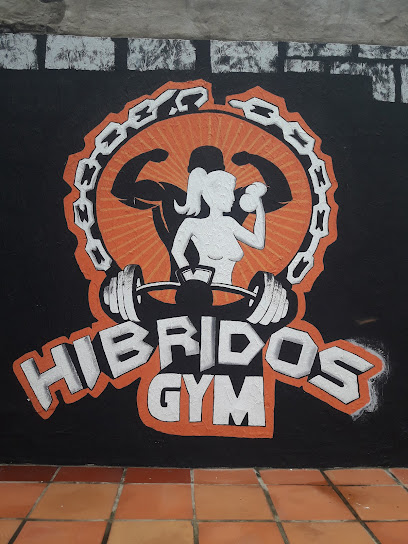 Híbridos gym