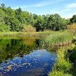 Wesley Hill Nature Preserve