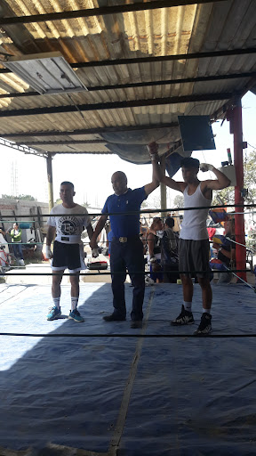 Boxeo Magdaleno