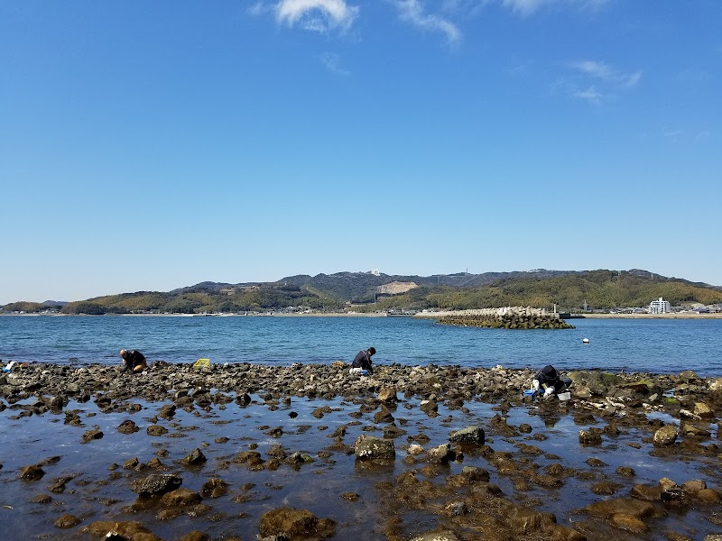 西浦海岸 潮干狩り場