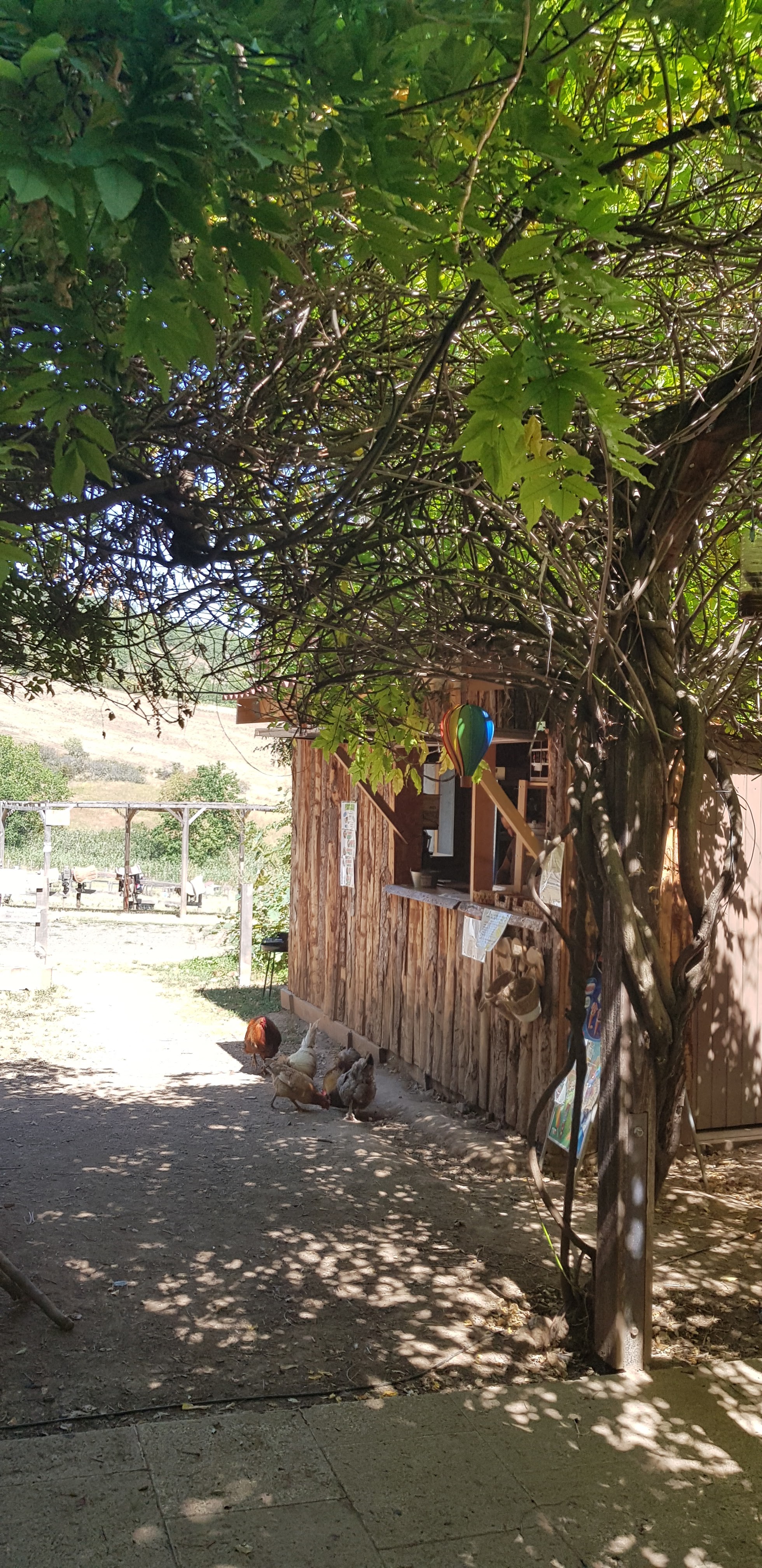 Photo n° 11 de l'avis de PC. fait le 17/08/2023 à 18:36