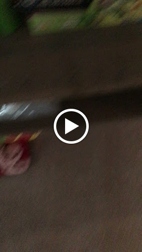 Discount Store «Dollar General», reviews and photos, 12909 N 56th St, Temple Terrace, FL 33617, USA