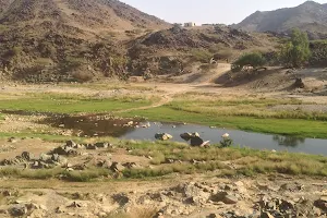 وادي بيش الفطيحه image
