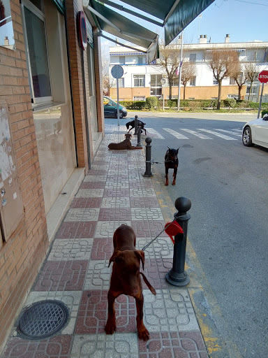 Miguel Cabello Clinic - Veterinarians en Albolote