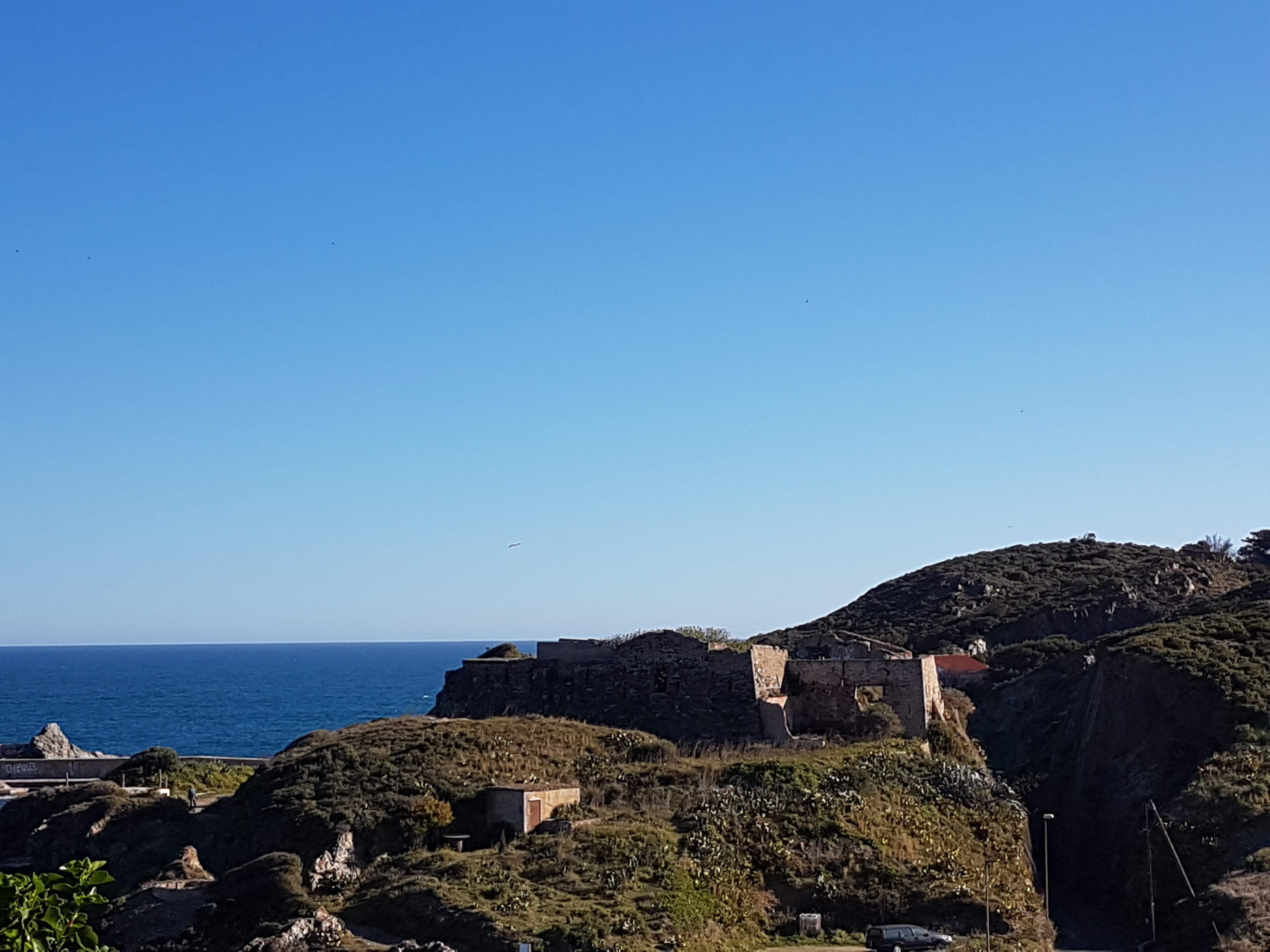 Photo n° 2 de l'avis de jean-claude.e fait le 13/03/2020 à 16:50