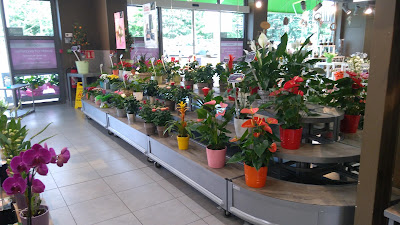 LA HALLE AUX FLEURS à La Roche-sur-Yon