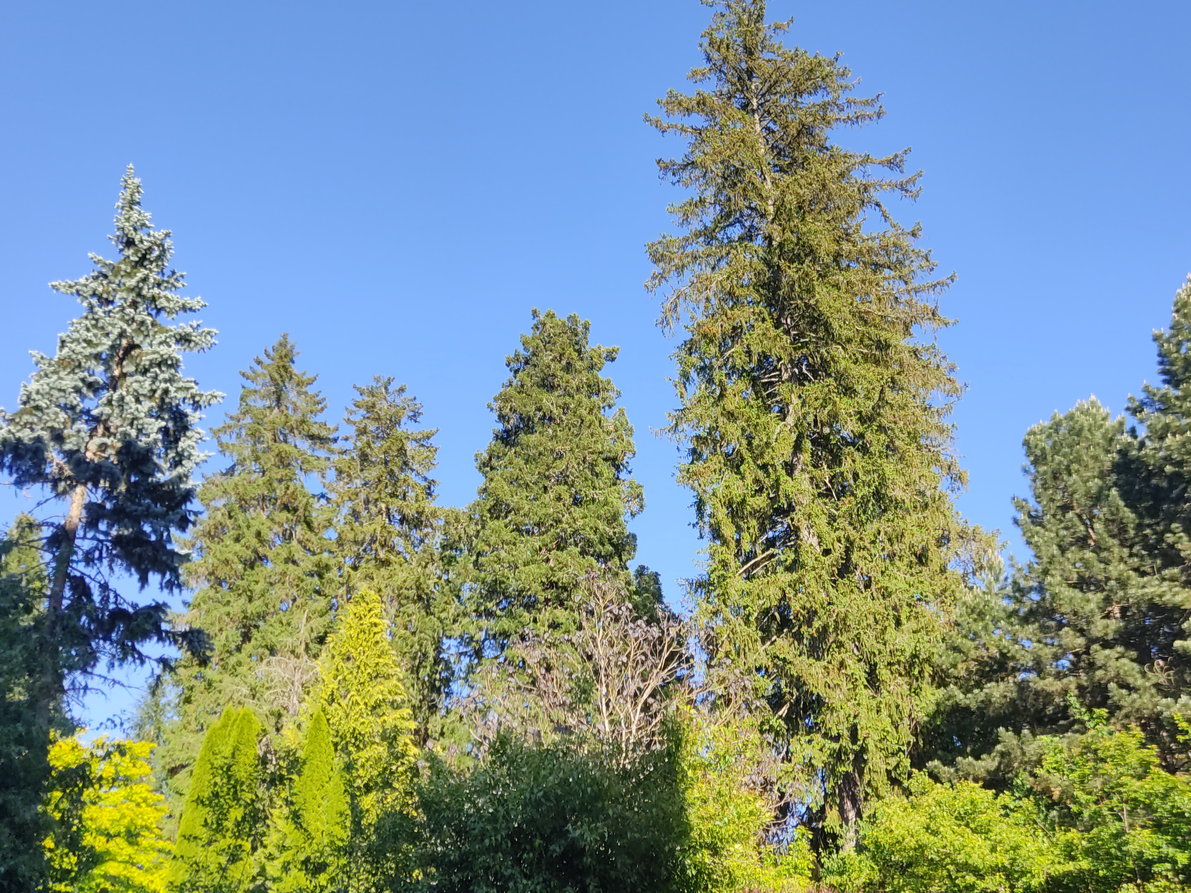 Photo n° 5 de l'avis de David.i fait le 29/05/2022 à 19:15