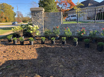 Cutter Lawn Care Inc - Photo 6 - Car repair in Louisville, KY, Louisville