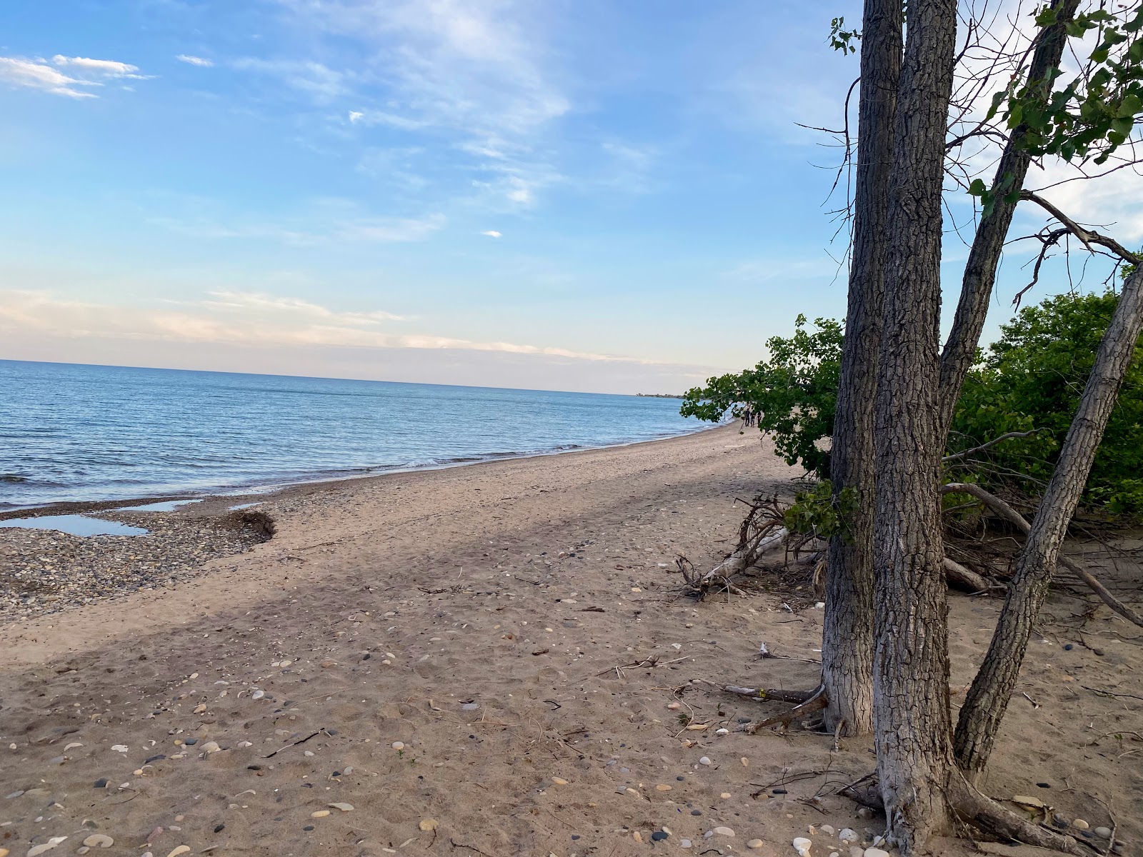Photo de Illinois Beach - endroit populaire parmi les connaisseurs de la détente