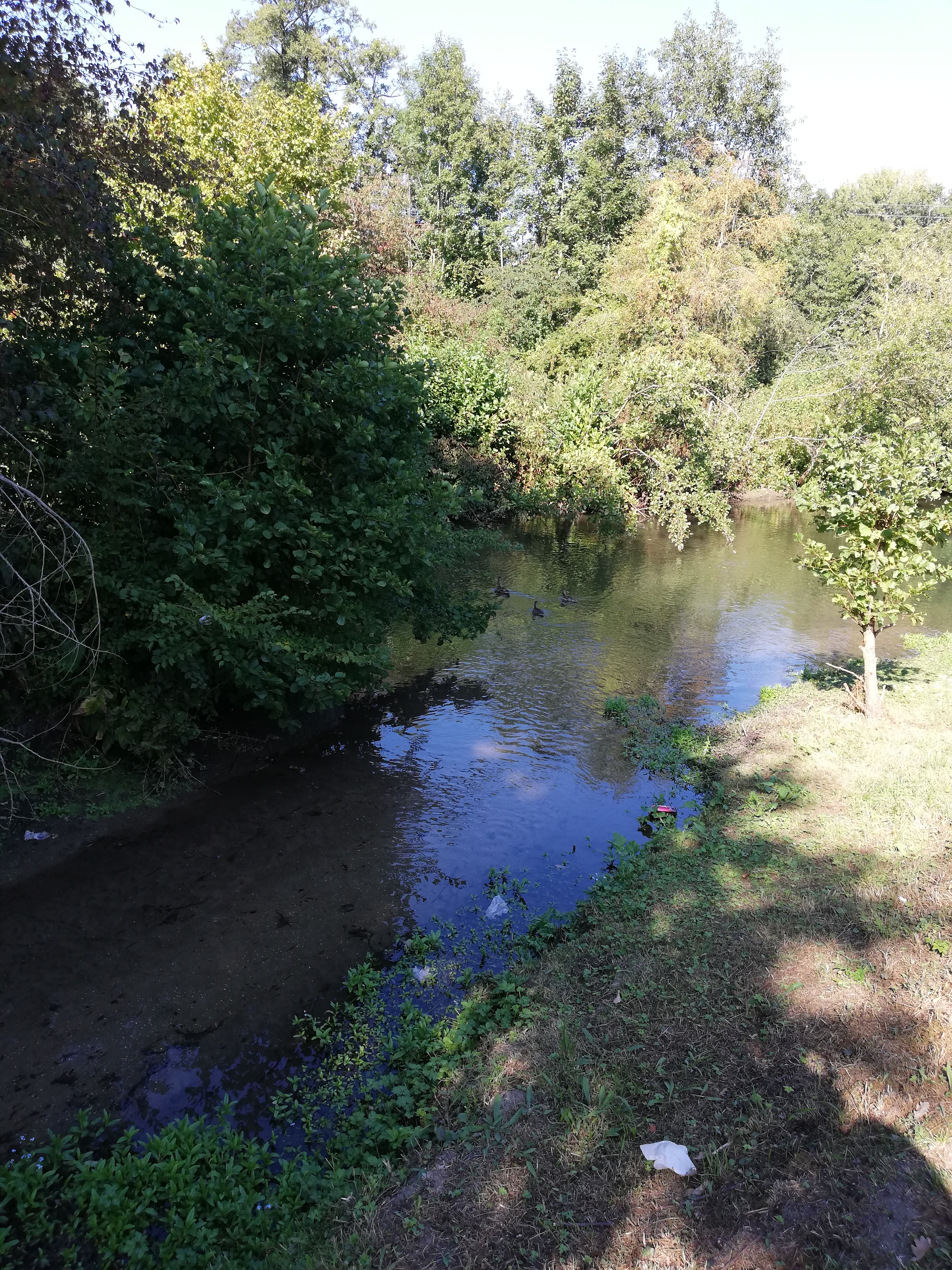 Photo n° 1 de l'avis de Olivier.e fait le 14/09/2019 à 14:52