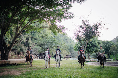 สโมสรขี่ม้ามอนทาน่า horse riding​ club 马术俱乐部 말을 타고