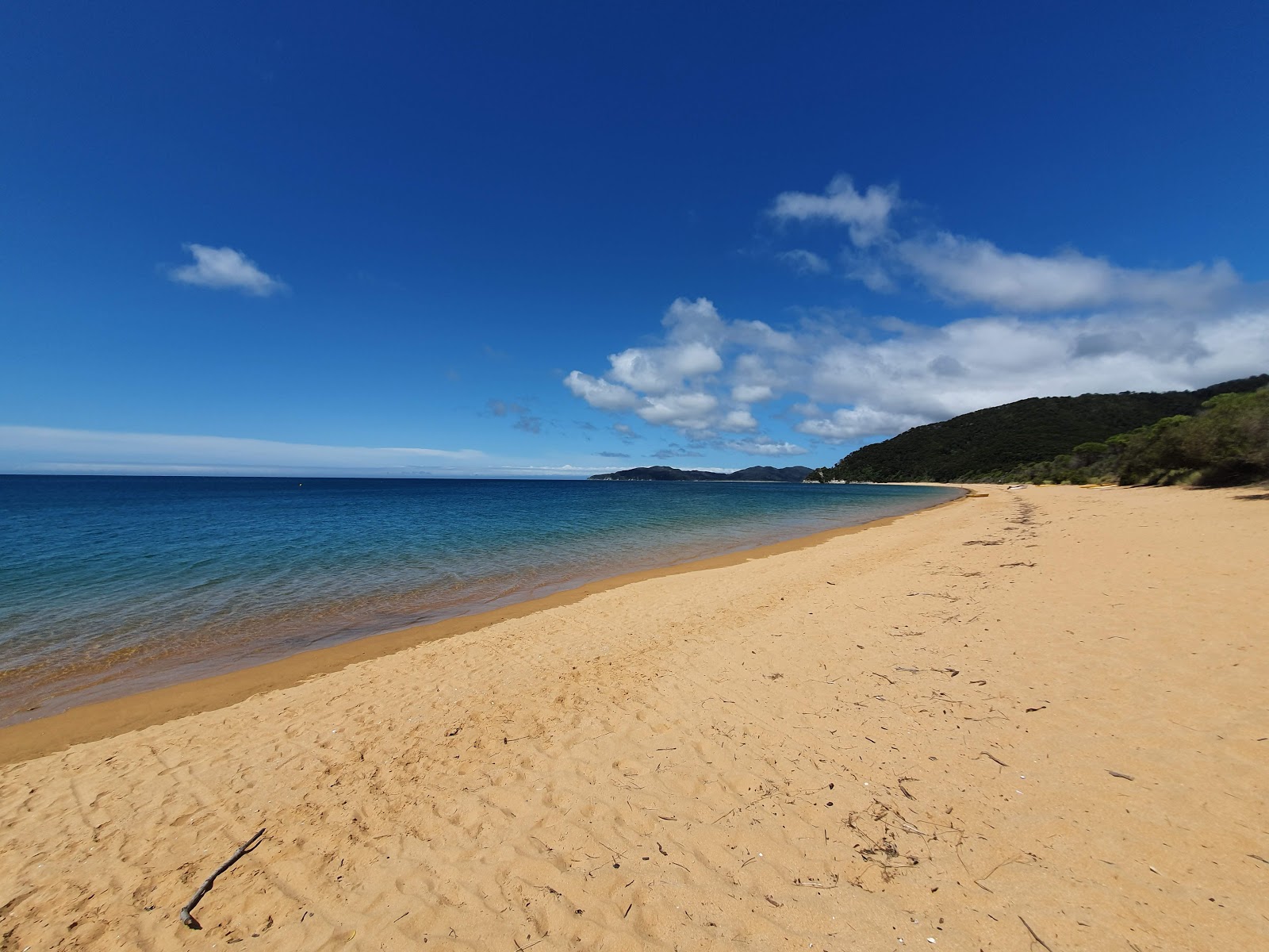 Totaranui Beach的照片 带有明亮的细沙表面