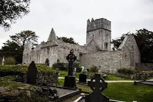 Muckross Abbey image