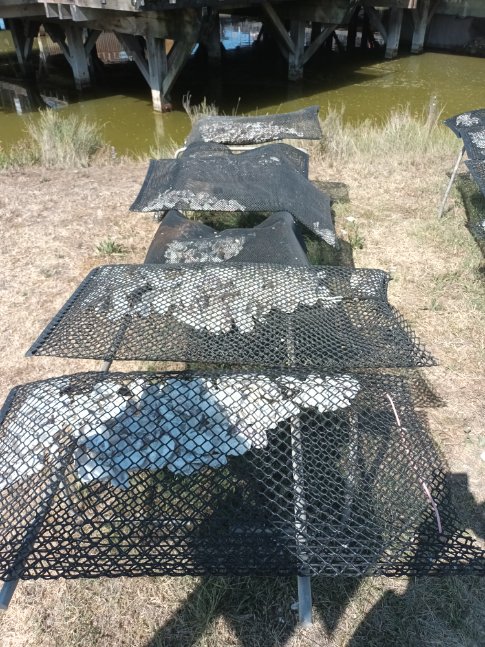 Photo n° 13 de l'avis de Julien.. fait le 05/08/2022 à 11:02