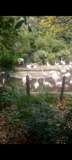 Zoo «Fort Worth Zoo», reviews and photos, 1989 Colonial Pkwy, Fort Worth, TX 76110, USA