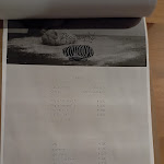 Photo n°6 de l'avis de Saverio.. fait le 05/11/2022 à 22:55 sur le  Pizza Lab à Monticello Conte Otto