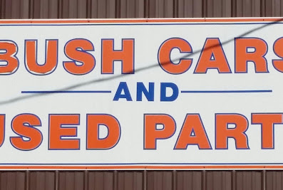 Bush Cars reviews