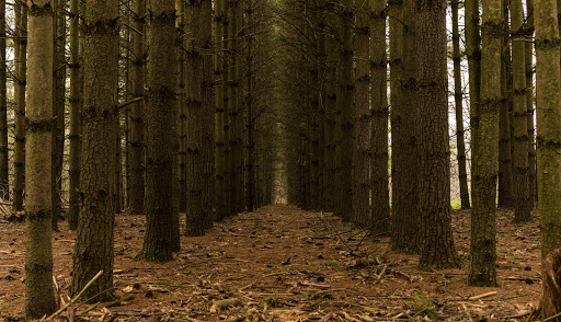 Nature Preserve «Lakewood Forest Preserve», reviews and photos, 27277 N Forest Preserve Rd, Wauconda, IL 60084, USA