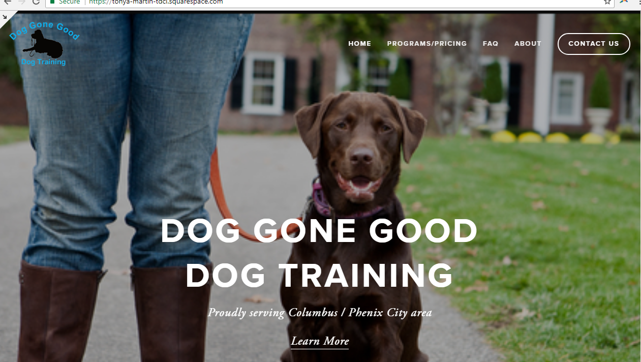 Dog Gone Good Dog Training