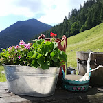 Photo n°1 de l'avis de Nathalie.o fait le 15/06/2018 à 19:59 sur le  Dandl-Alm à Ruhpolding